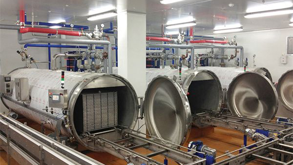 Esterilizador personalizado para esterilización de salsas en bolsas flexibles