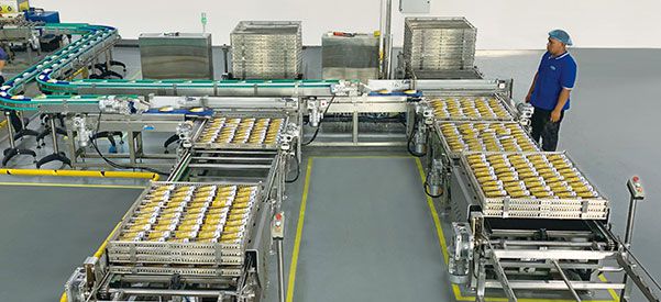 Sistema de Carga y Descarga, para Envases Flexibles