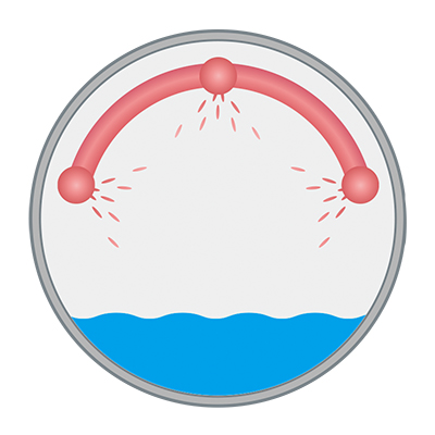 Autoclave por Aspersión de Agua, sin Tanque de Precalentamiento